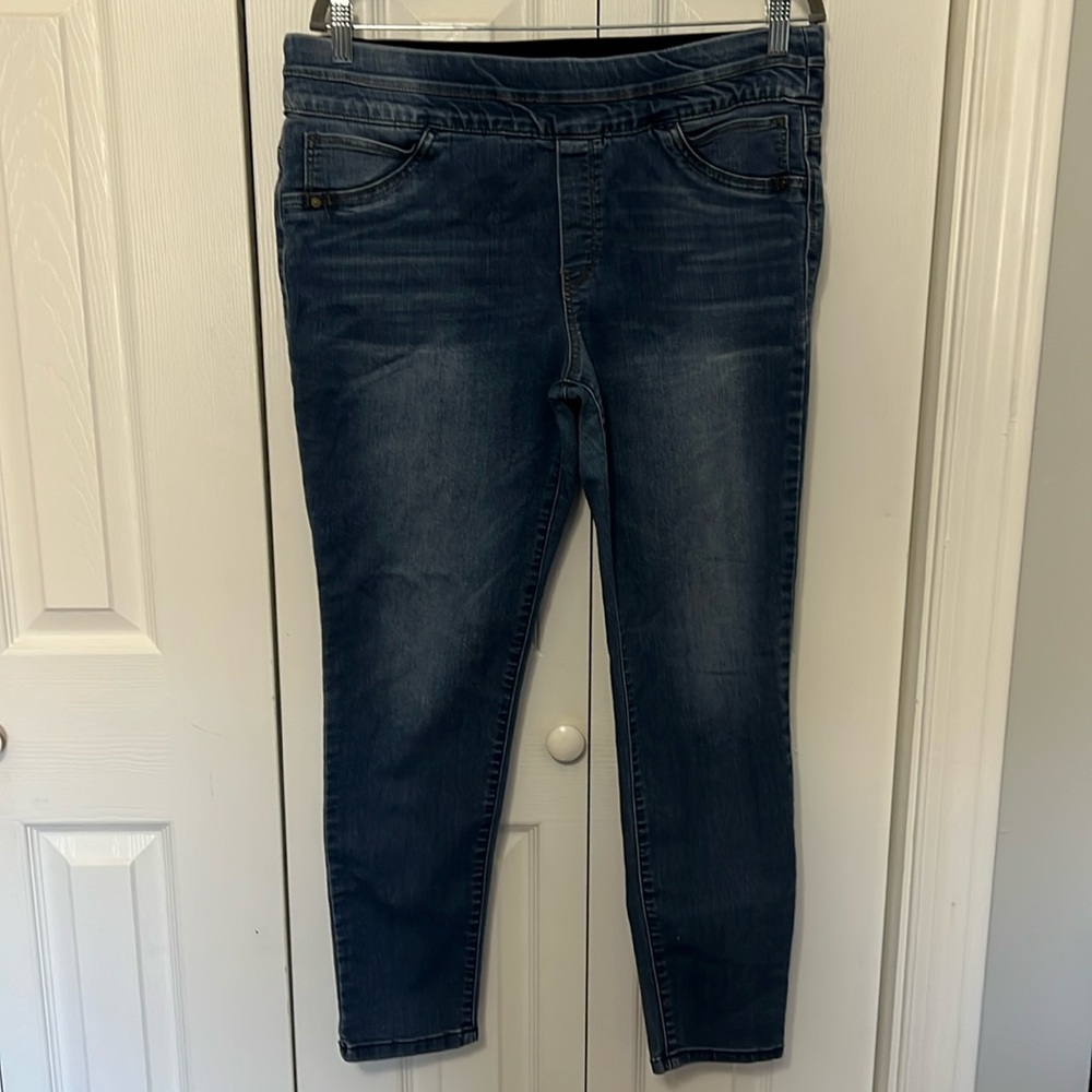 Wit & Wisdom Pull on Skinny